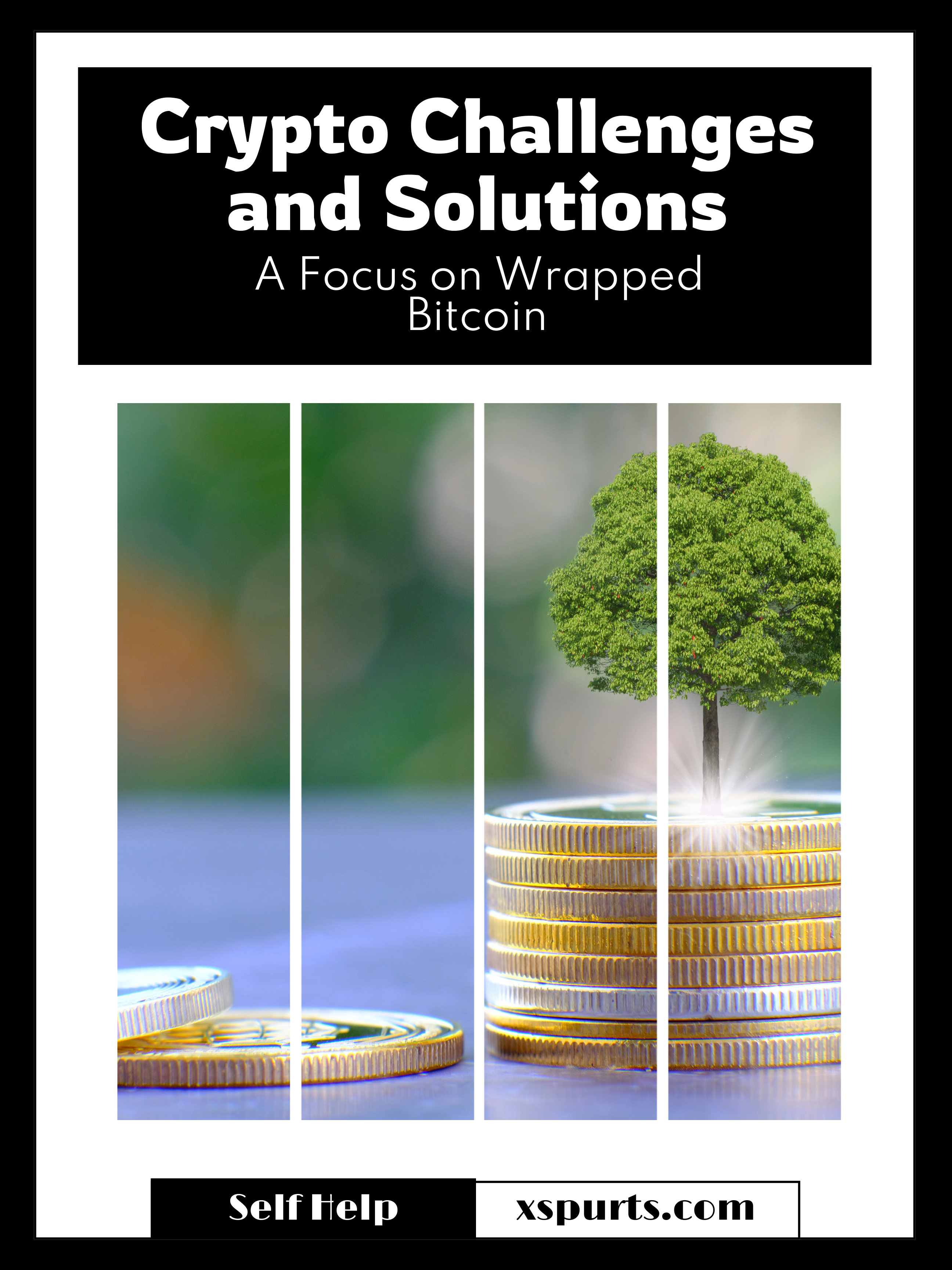 Crypto Challenges and Solutions: A Focus on Wrapped Bitcoin